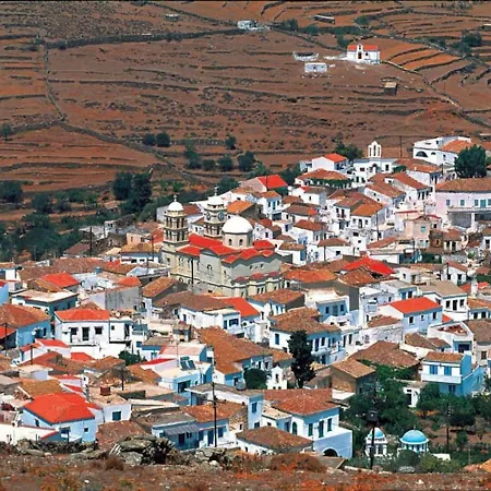 Dryopida House *